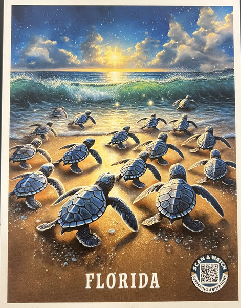 Baby Turtles - Qty 24